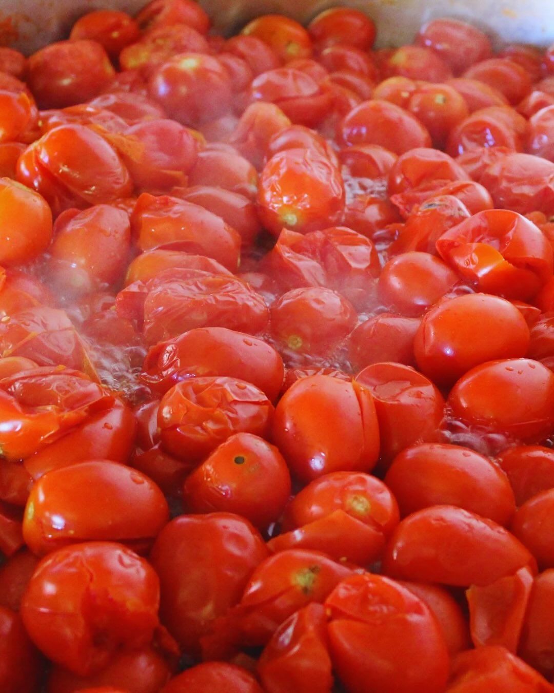 Azienda Agricola Casone di Sotto, maranello, produzione conserve, salsa di pomodoro