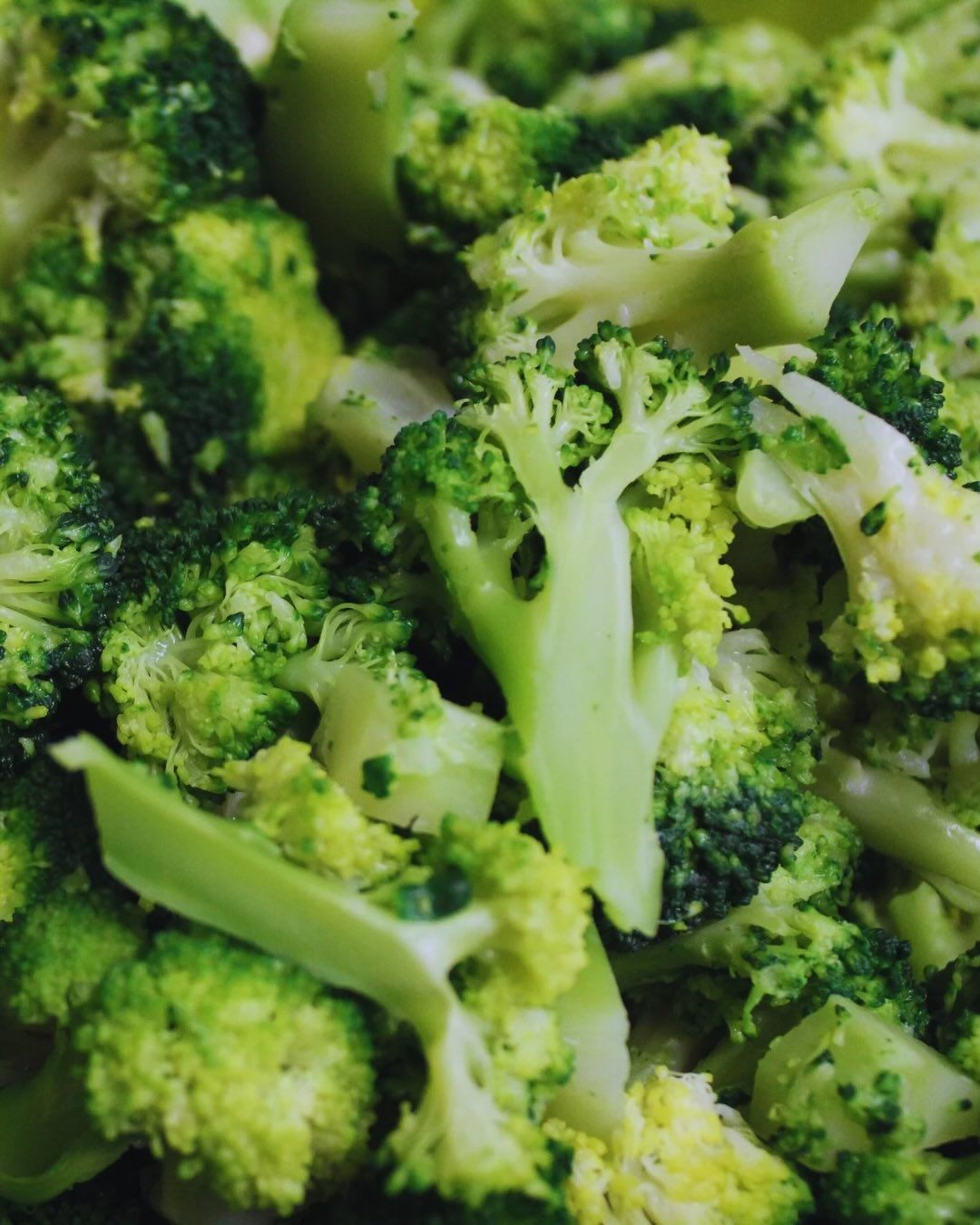 Azienda Agricola Casone di Sotto, piatti cucina emiliana, maranello, cucina locale