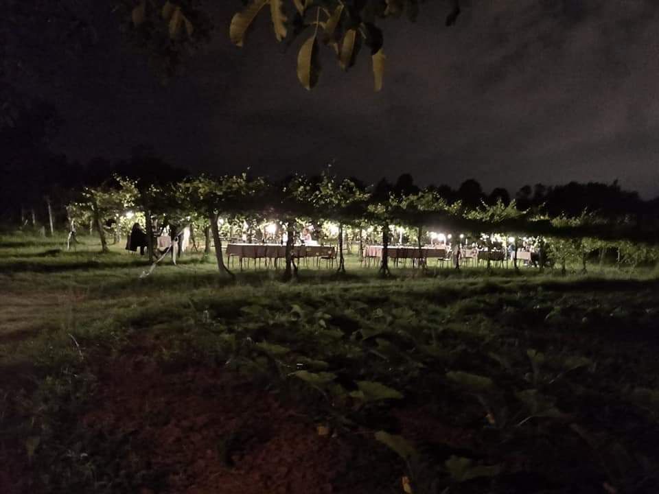 Azienda Agricola Casone di Sotto, piatti cucina emiliana, maranello, cucina locale, cene in vigna