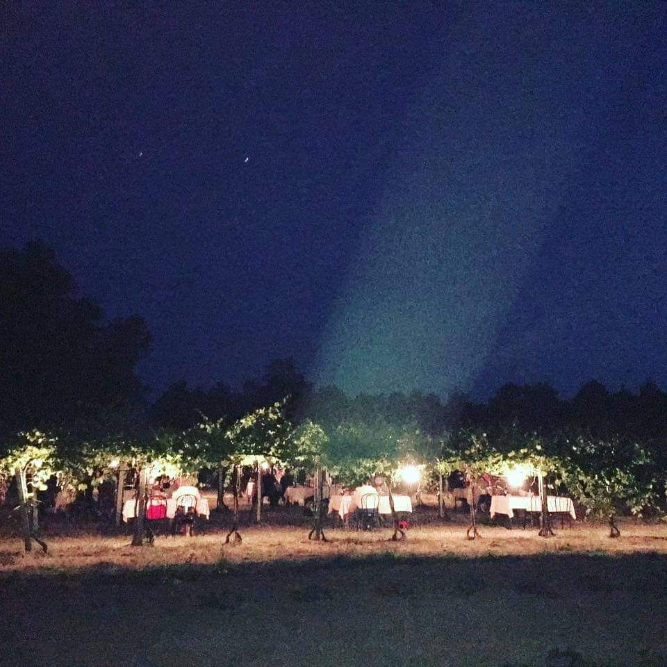 Azienda Agricola Casone di Sotto, piatti cucina emiliana, maranello, cucina locale, cene in vigna