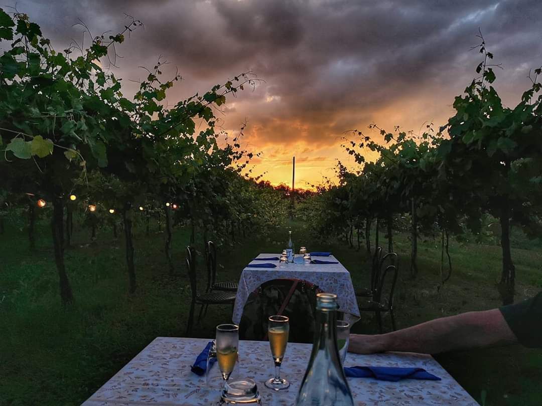 Azienda Agricola Casone di Sotto, piatti cucina emiliana, maranello, cucina locale, cene in vigna