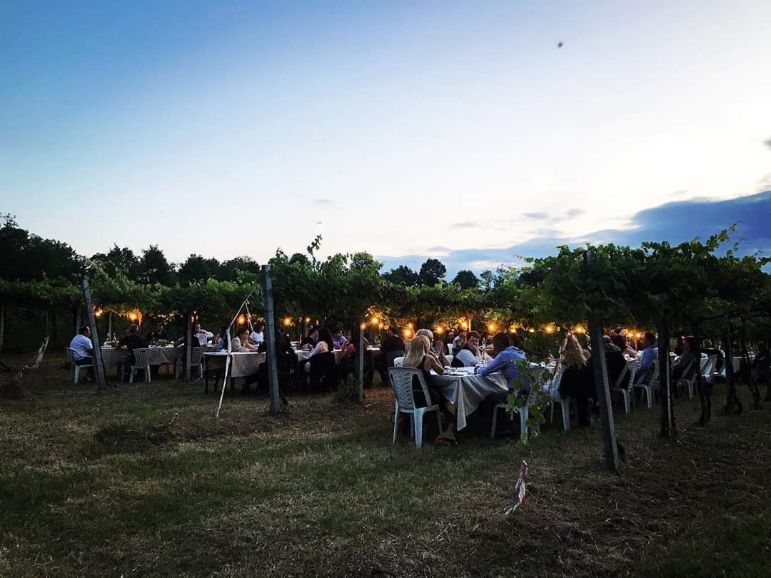 Azienda Agricola Casone di Sotto, piatti cucina emiliana, maranello, cucina locale, cene in vigna