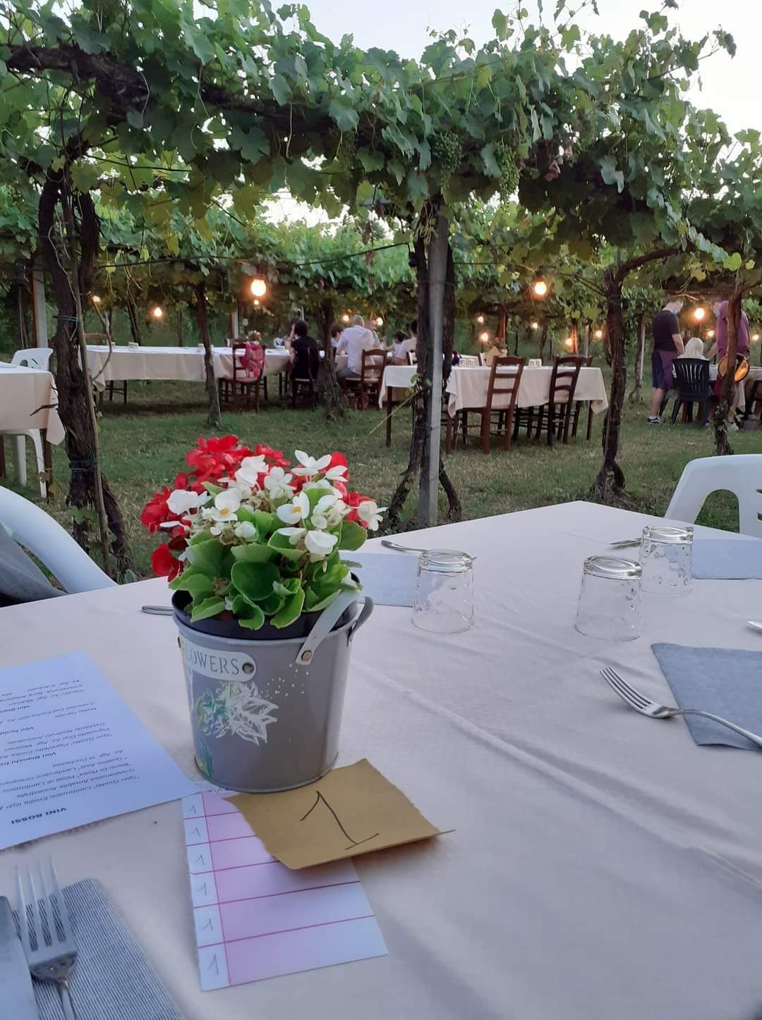 Azienda Agricola Casone di Sotto, piatti cucina emiliana, maranello, cucina locale, cene in vigna