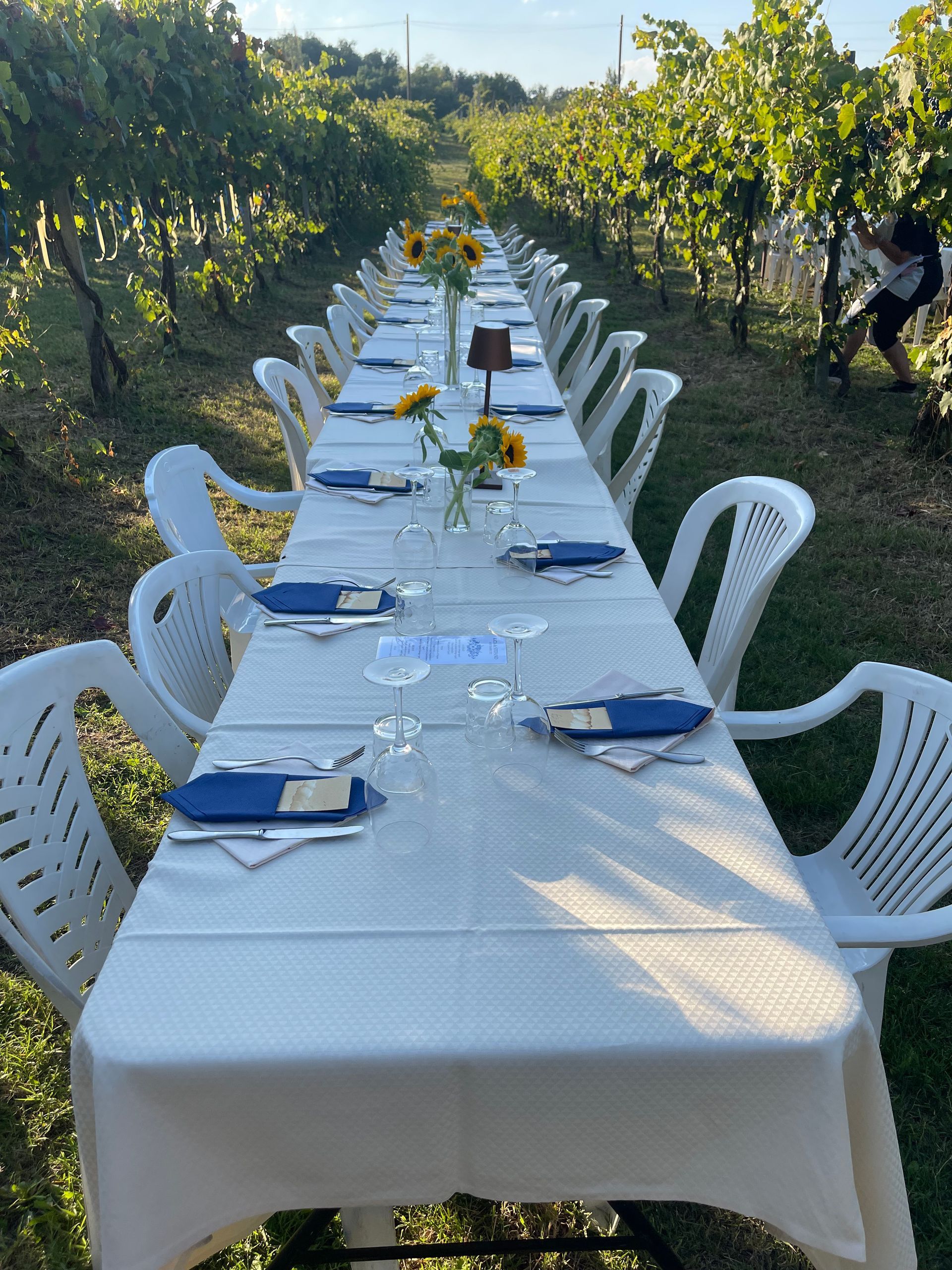 Azienda Agricola Casone di Sotto, piatti cucina emiliana, maranello, cucina locale, cene in vigna