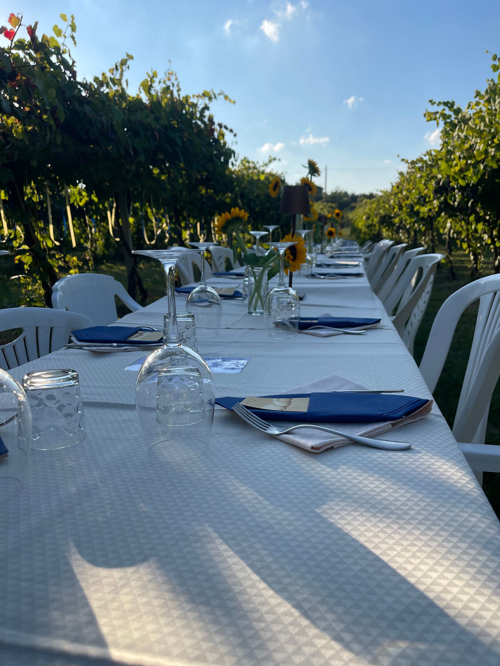 Azienda Agricola Casone di Sotto, piatti cucina emiliana, maranello, cucina locale, cene in vigna