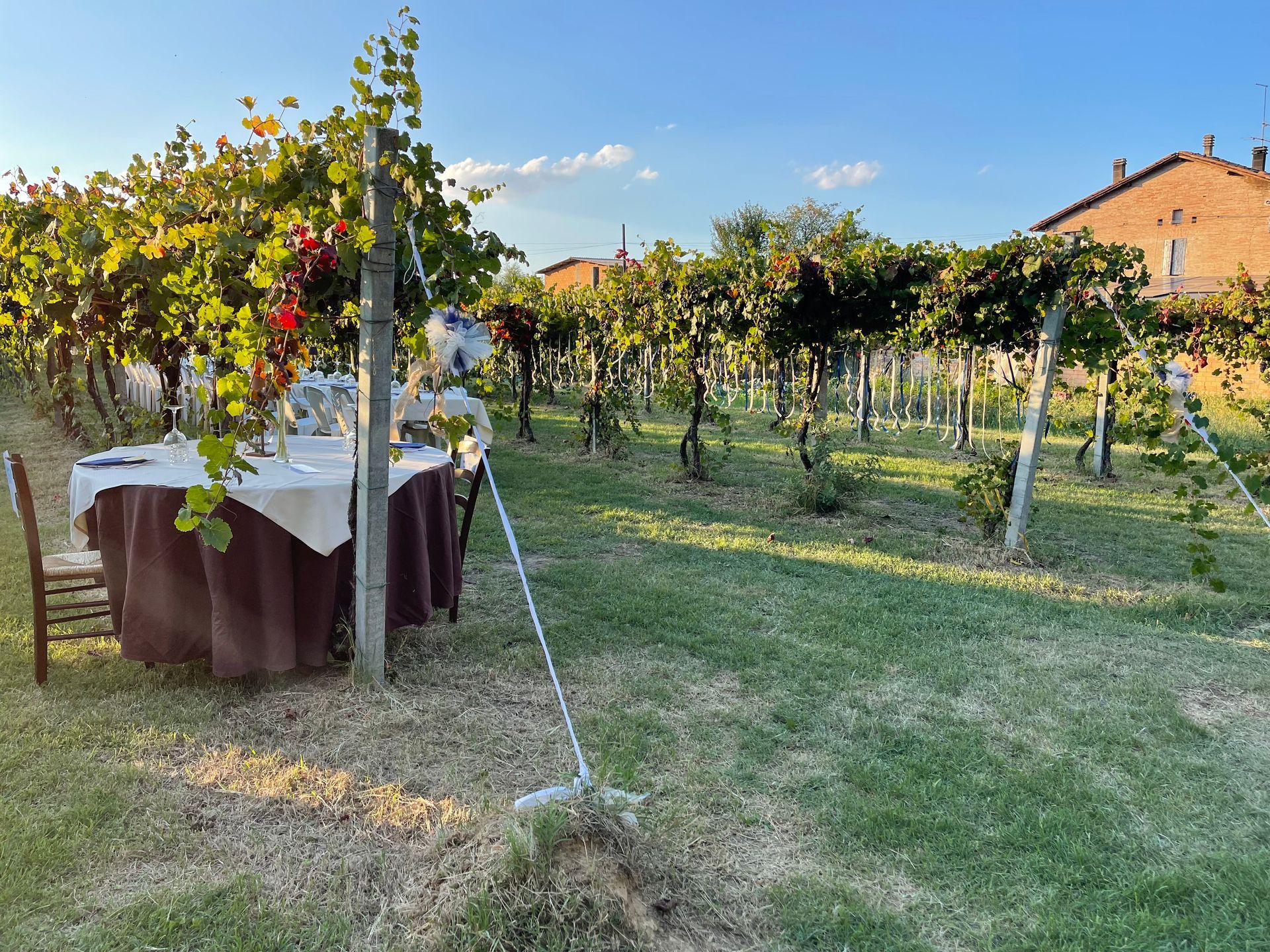 Azienda Agricola Casone di Sotto, piatti cucina emiliana, maranello, cucina locale, cene in vigna