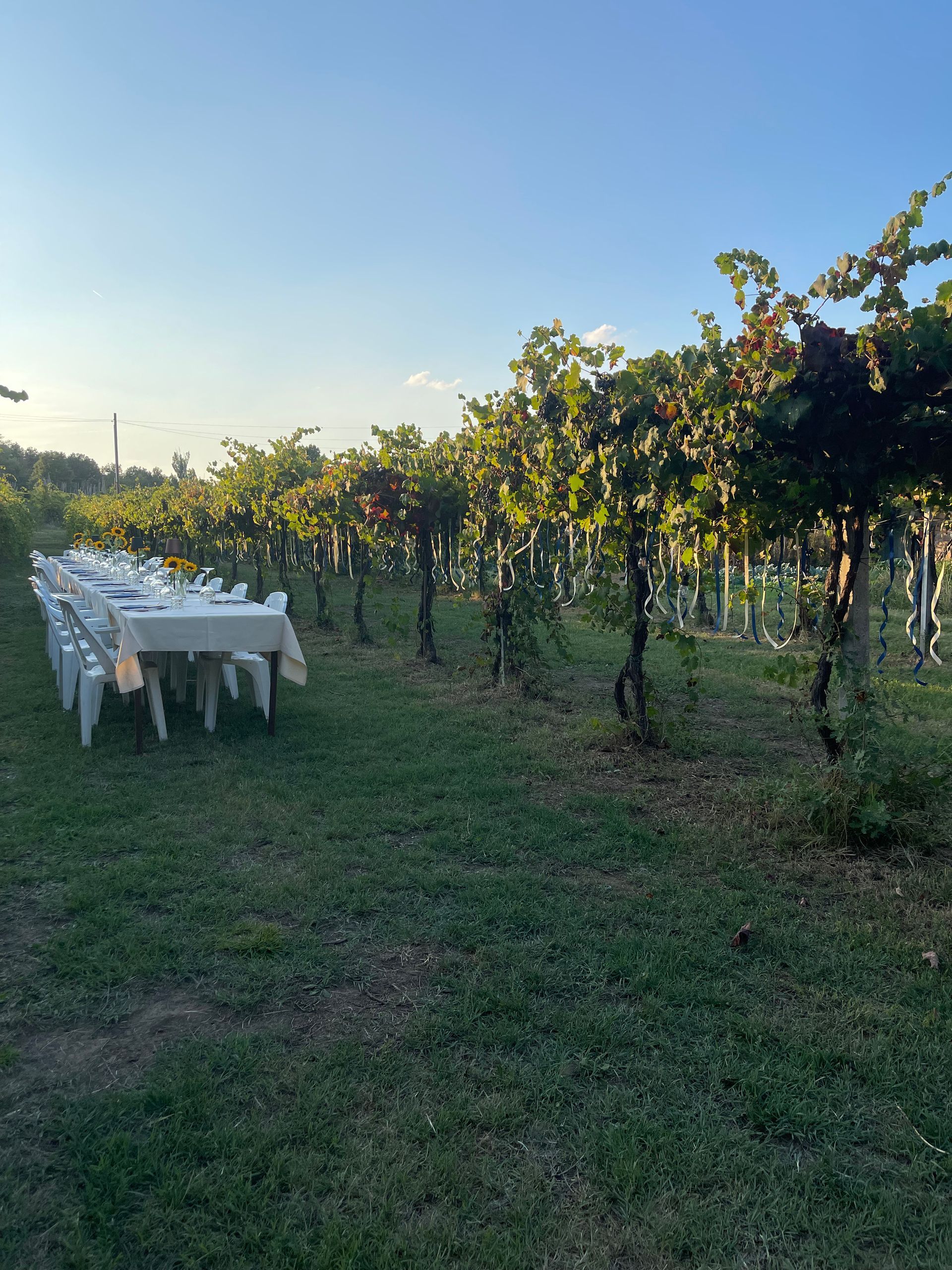 Azienda Agricola Casone di Sotto, piatti cucina emiliana, maranello, cucina locale, cene in vigna