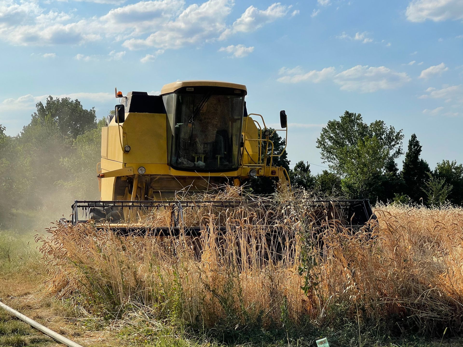 Azienda Agricola Casone di Sotto, maranello, propria produzione