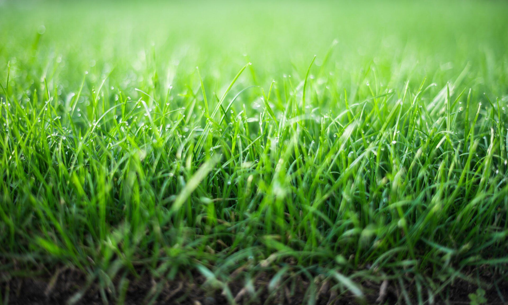 Home Fond Du Lac, WI Loof's Landscaping LLC