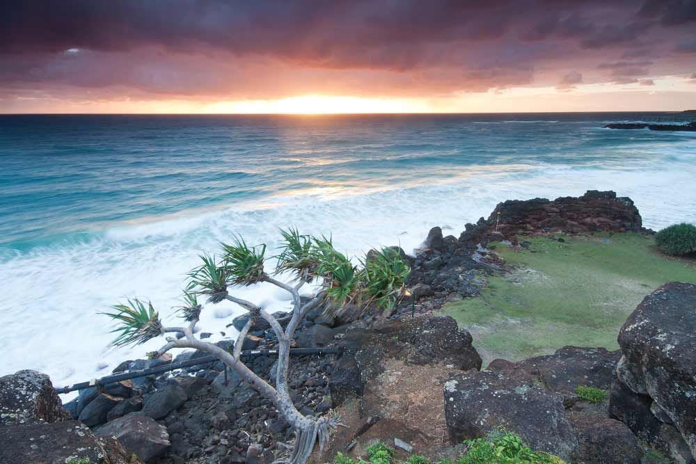 A Sunset Over The Ocean With A Tree In The Foreground — Kingscliff Tweed Coast Taxis Pty Ltd In Tweed Heads, NSW