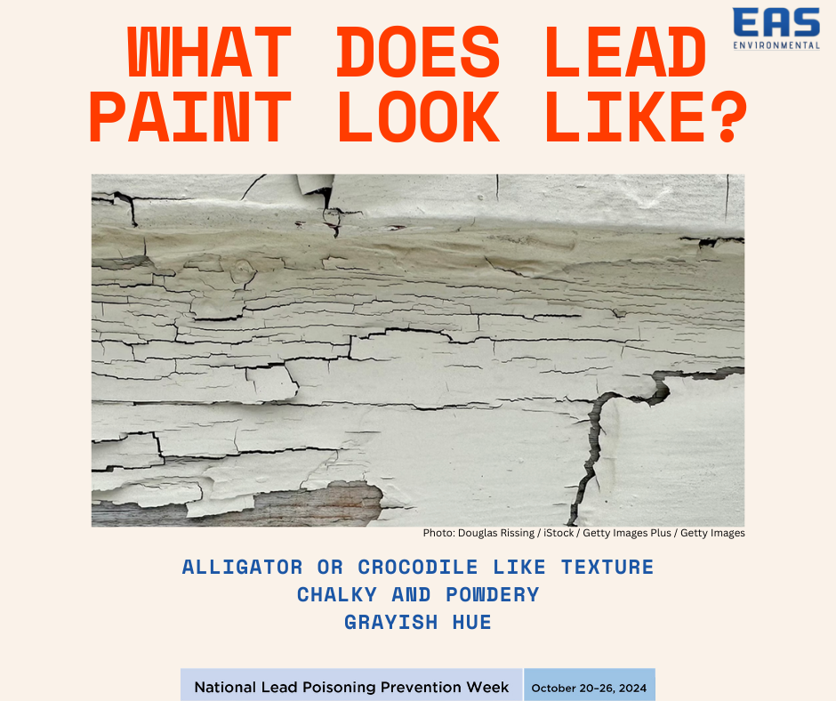 A poster that says what does lead paint look like