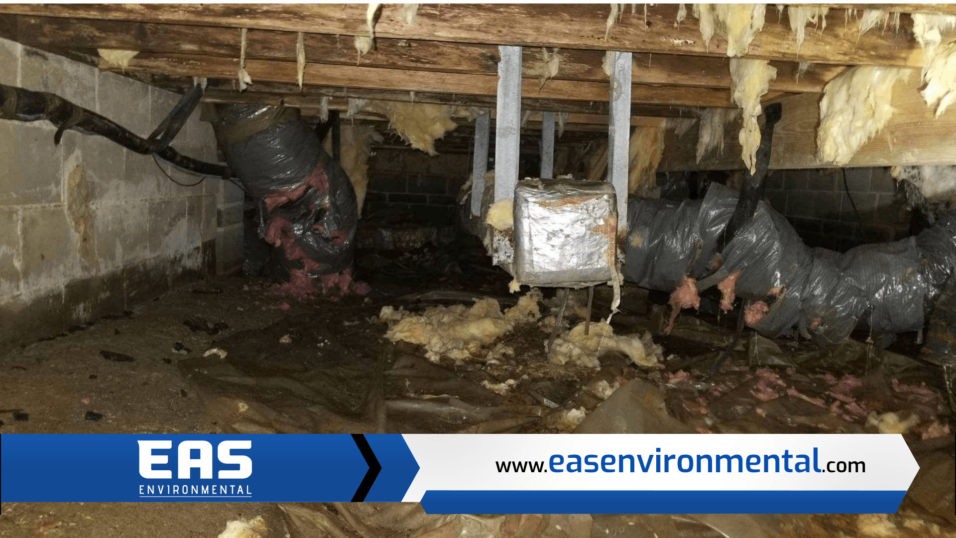Crawl Space Cleaning in North Charleston, SC