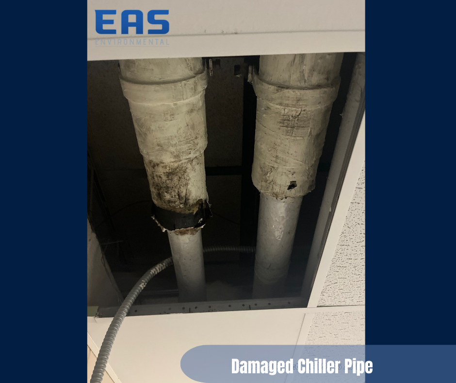 Workers painting a room with drop cloths. One on cart with pole, other on table in room with exposed ceiling.