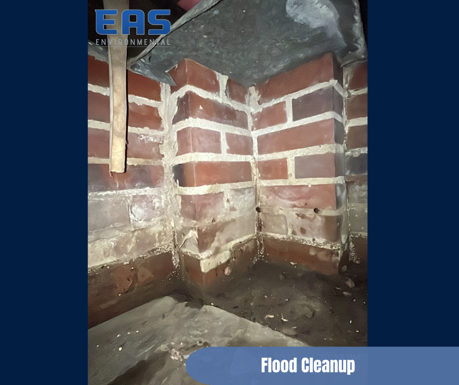 Person in protective suit sprays a wall in a room, mold remediation.