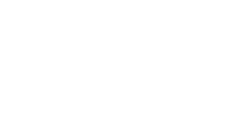 Shoppers Value Foods & Velocity Partners Group