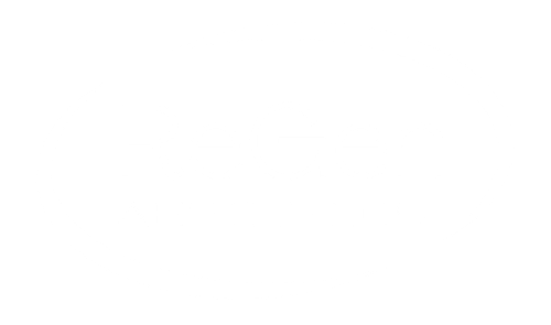 ReGen Aesthetics & Velocity Partners Group