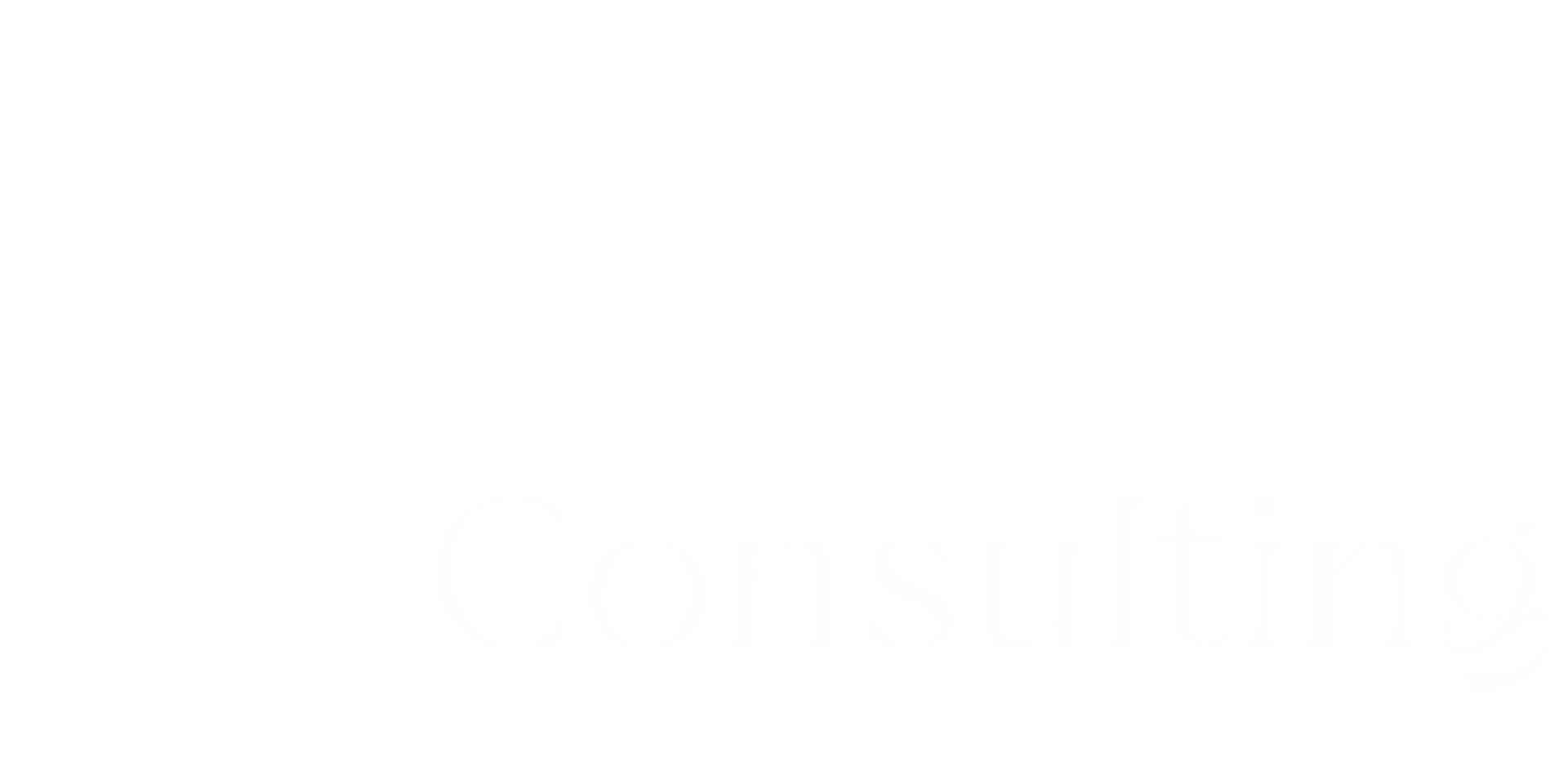 Wall Consulting & Velocity Partners Group