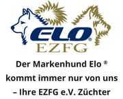 www.ezfg.de