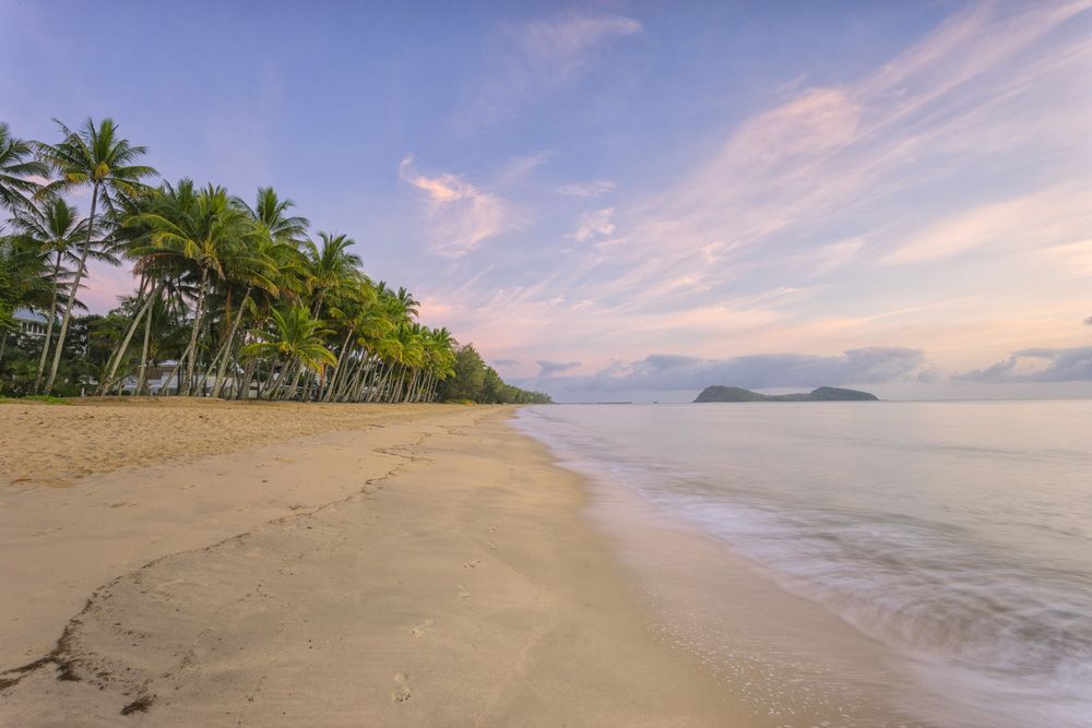 A Tropical Beach with Palm Trees and The Ocean at Sunset — NQ Plaques & Trophies In Cairns, QLD