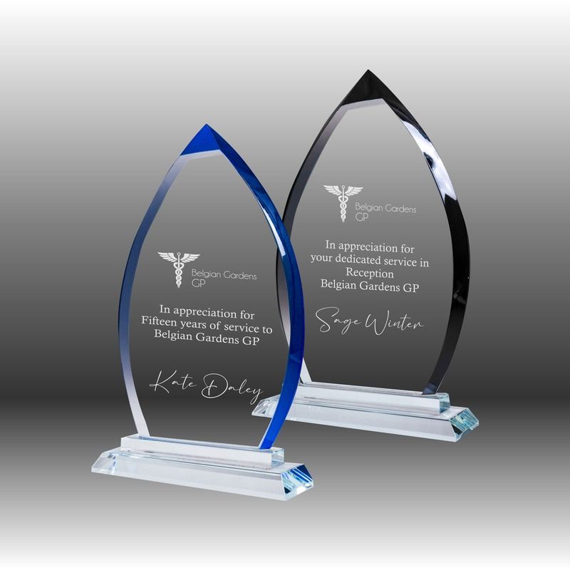 Corporate Award in a Glass Trophy