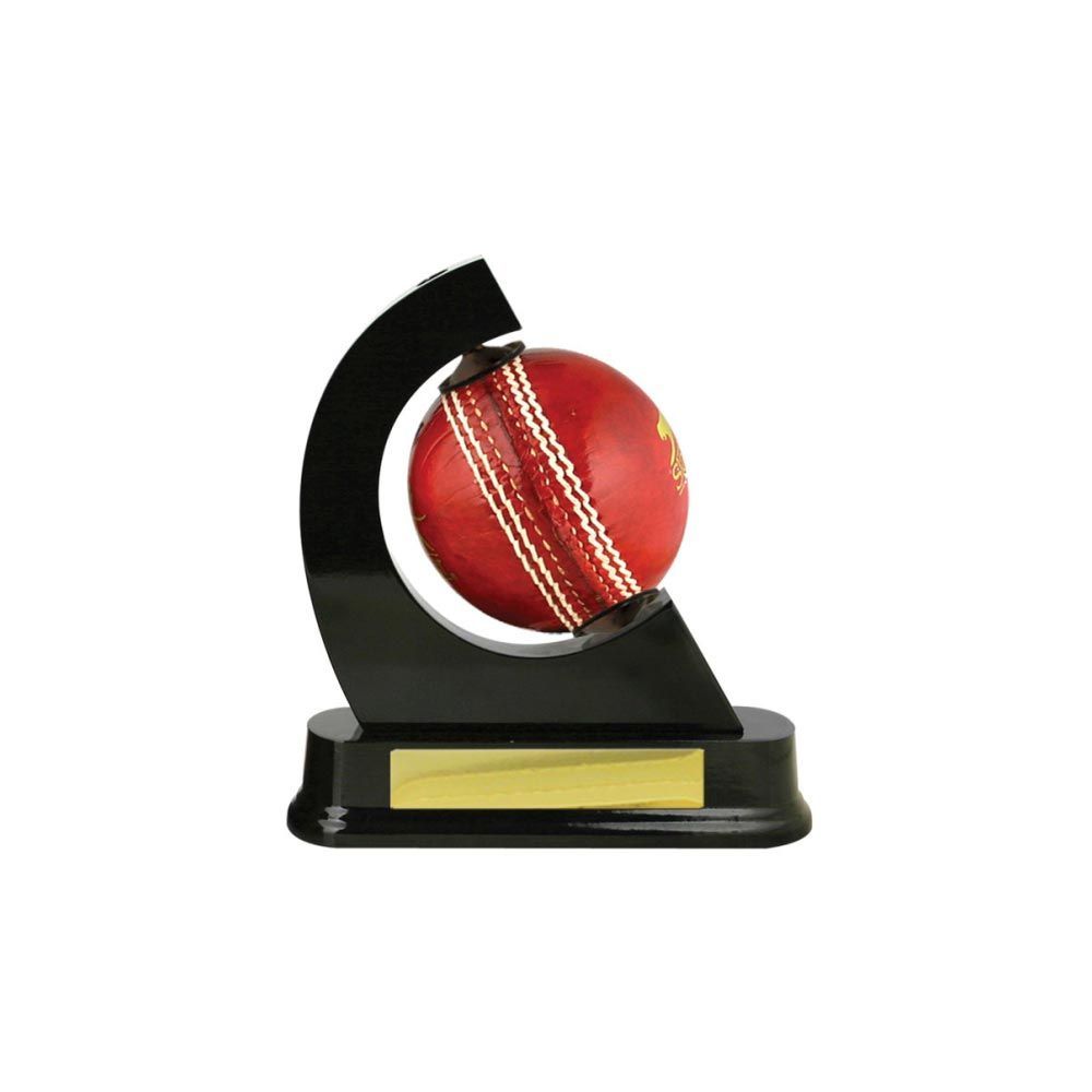 Cricket Ball Holder Timber
