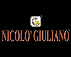logo nicolò giuliani