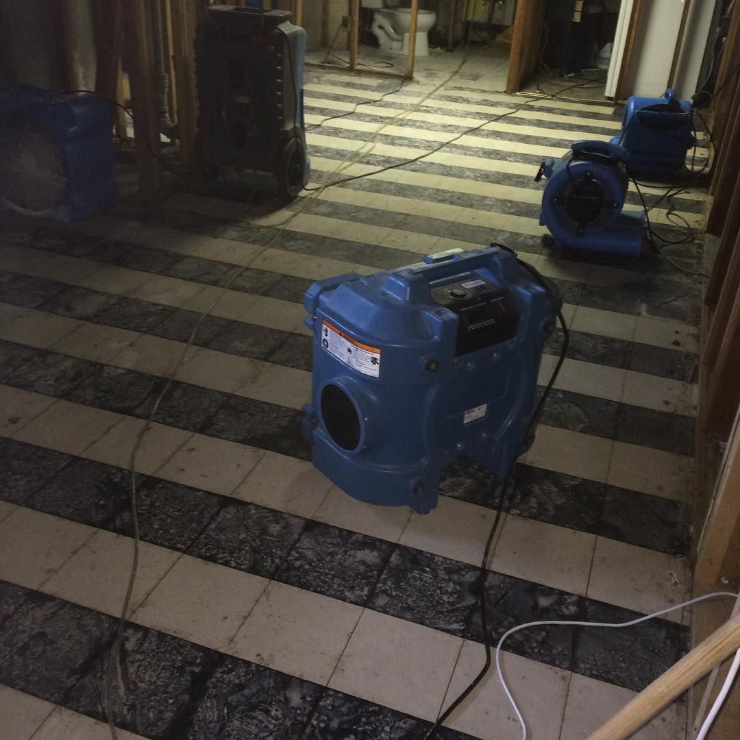 A blue vacuum cleaner is sitting on a striped floor