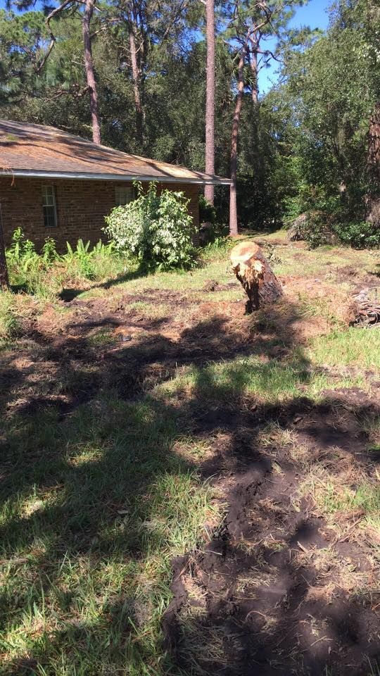 A pig is standing in a muddy field in front of a house.