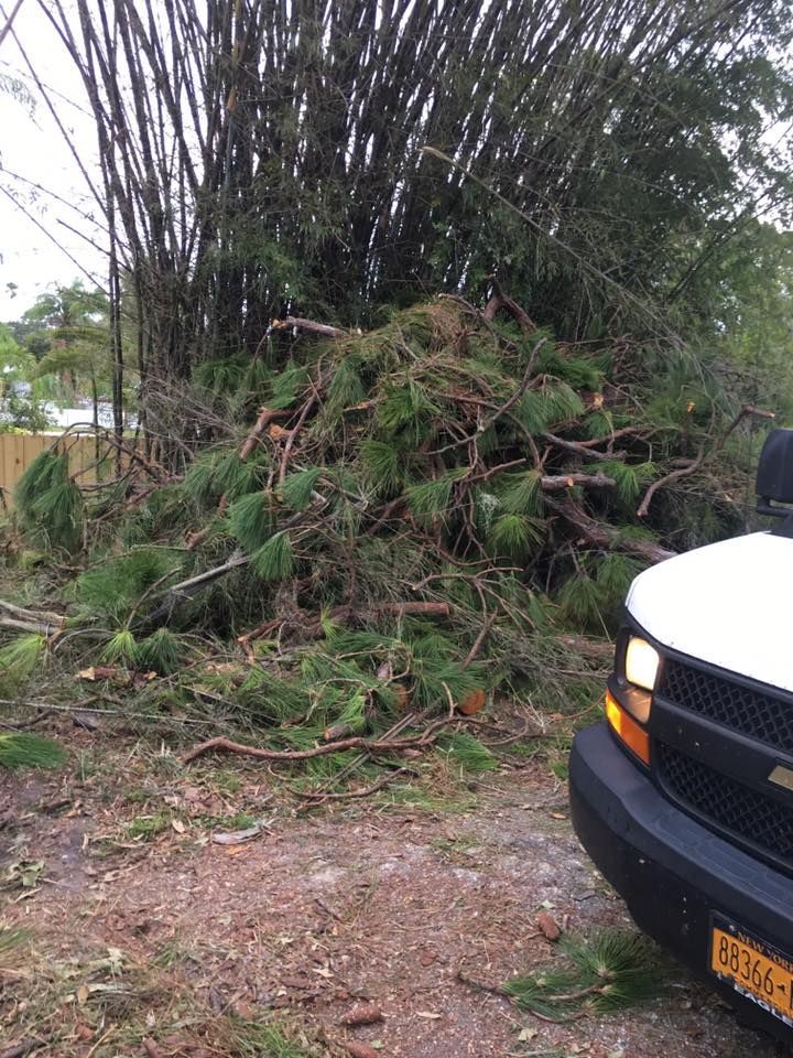 A white truck is parked in front of a pile of fallen trees.