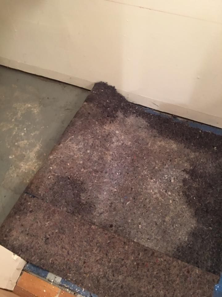 A piece of carpet is sitting on the floor next to a wall.