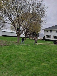 Hardworking Workers — Harvard, IL — Power Tree & Landscaping