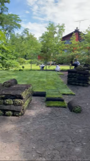 Backyard Sod Installation Process— Harvard, IL — Power Tree & Landscaping