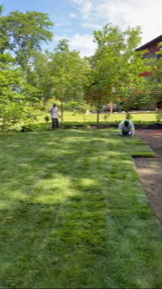 Man Installing Sod on the Backyard — Harvard, IL — Power Tree & Landscaping
