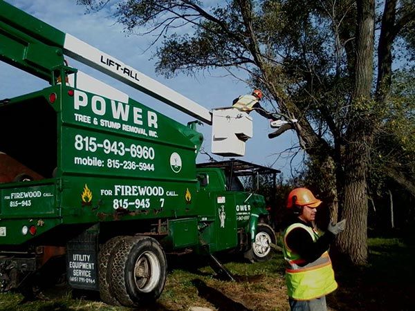 Truck with Hydraulic Lift — Harvard, IL — Power Tree & Landscaping