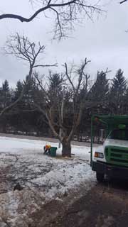 Truck on Road — Harvard, IL — Power Tree & Landscaping