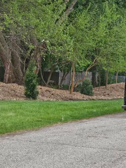 A person is walking down a road in a park with trees in the background.
