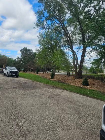 A white truck is parked on the side of a road next to trees.