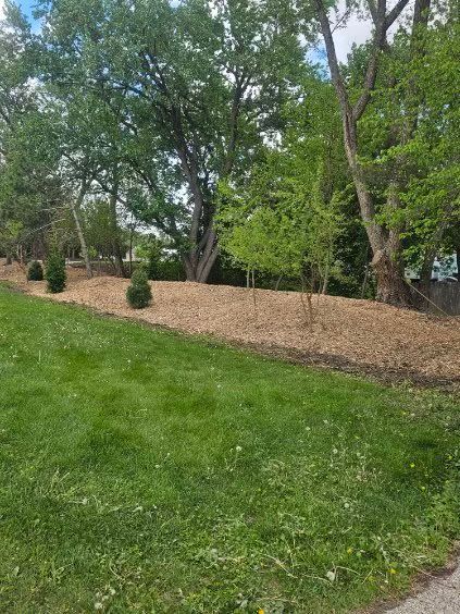 A lush green park filled with trees and mulch.