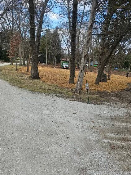 A dirt road going through a park with trees and leaves on the ground.