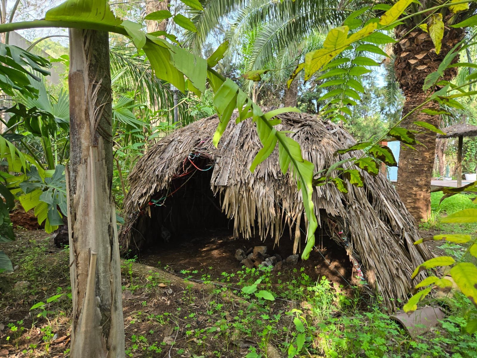 Sweat lodge
