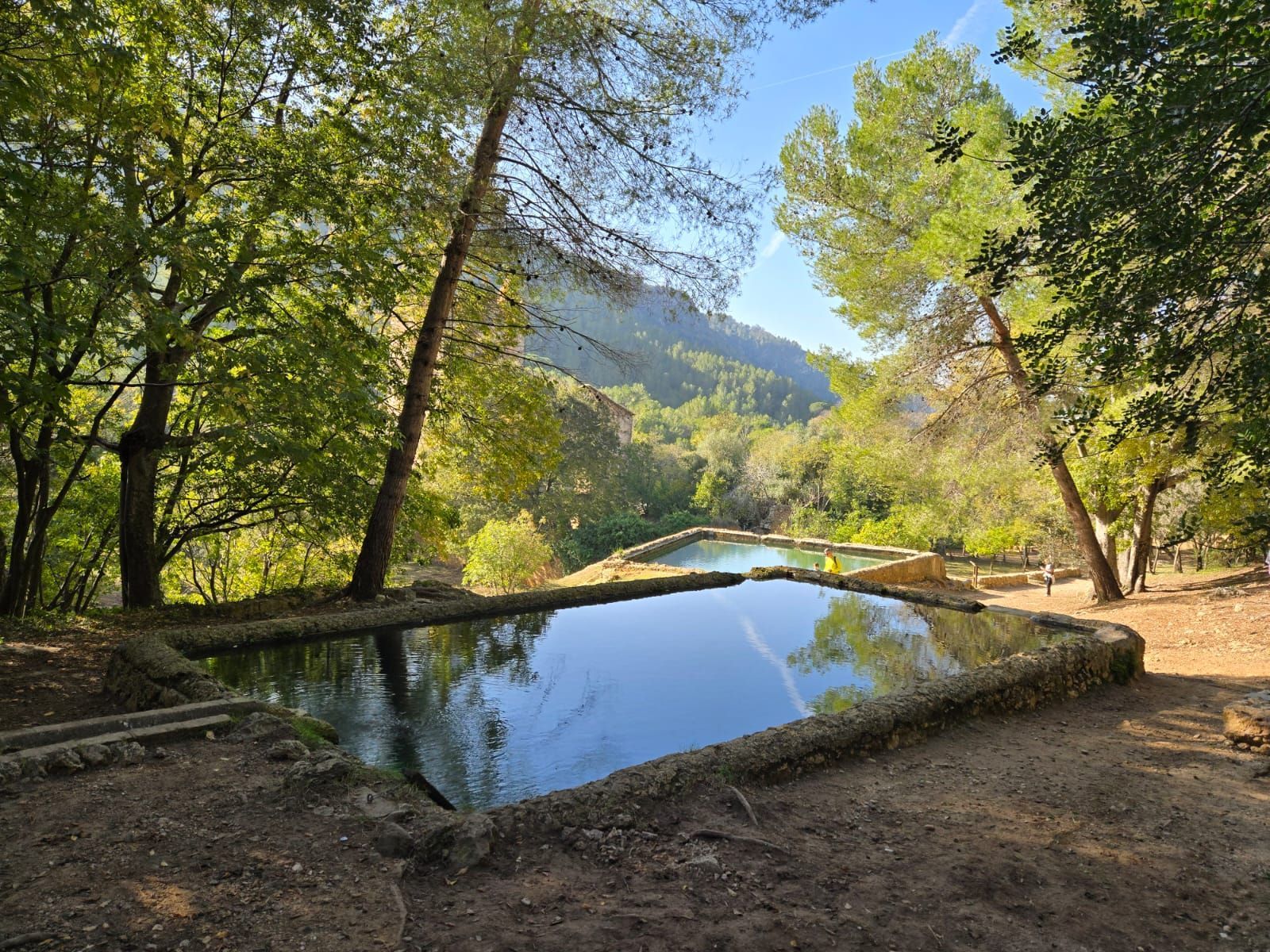 A pond in the middle of a forest with trees and mountains in the background