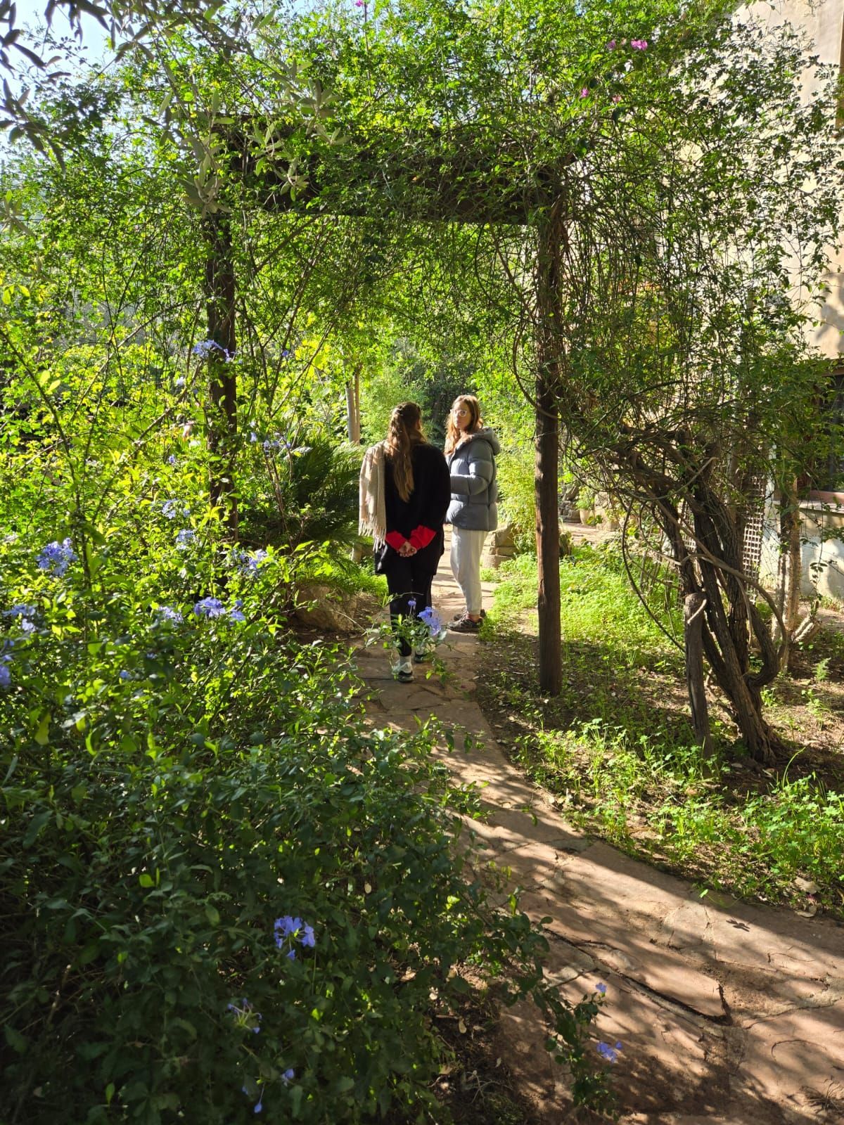 Two women are walking down a path in a garden.
