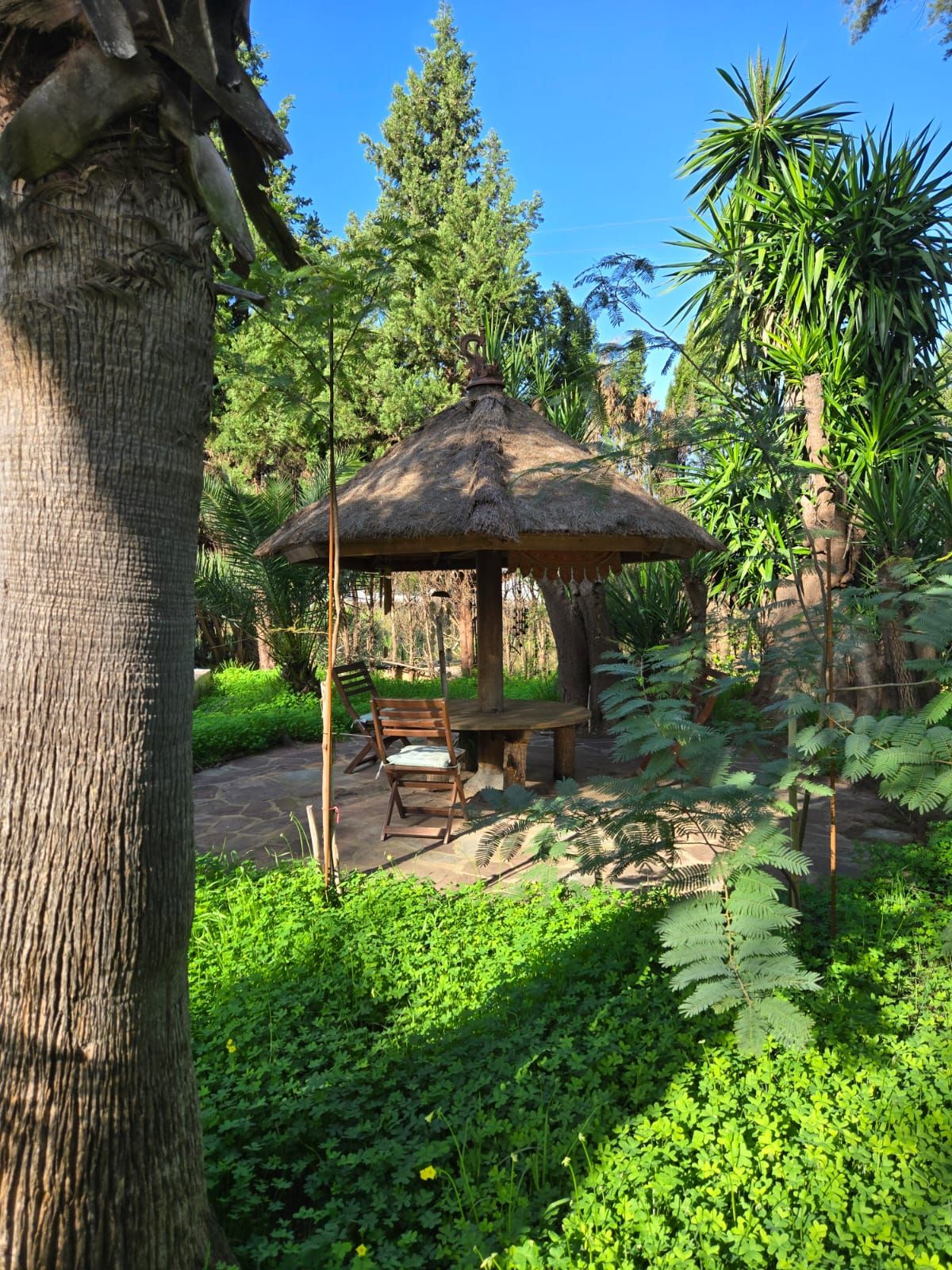 A gazebo with a table and chairs in a garden surrounded by trees.