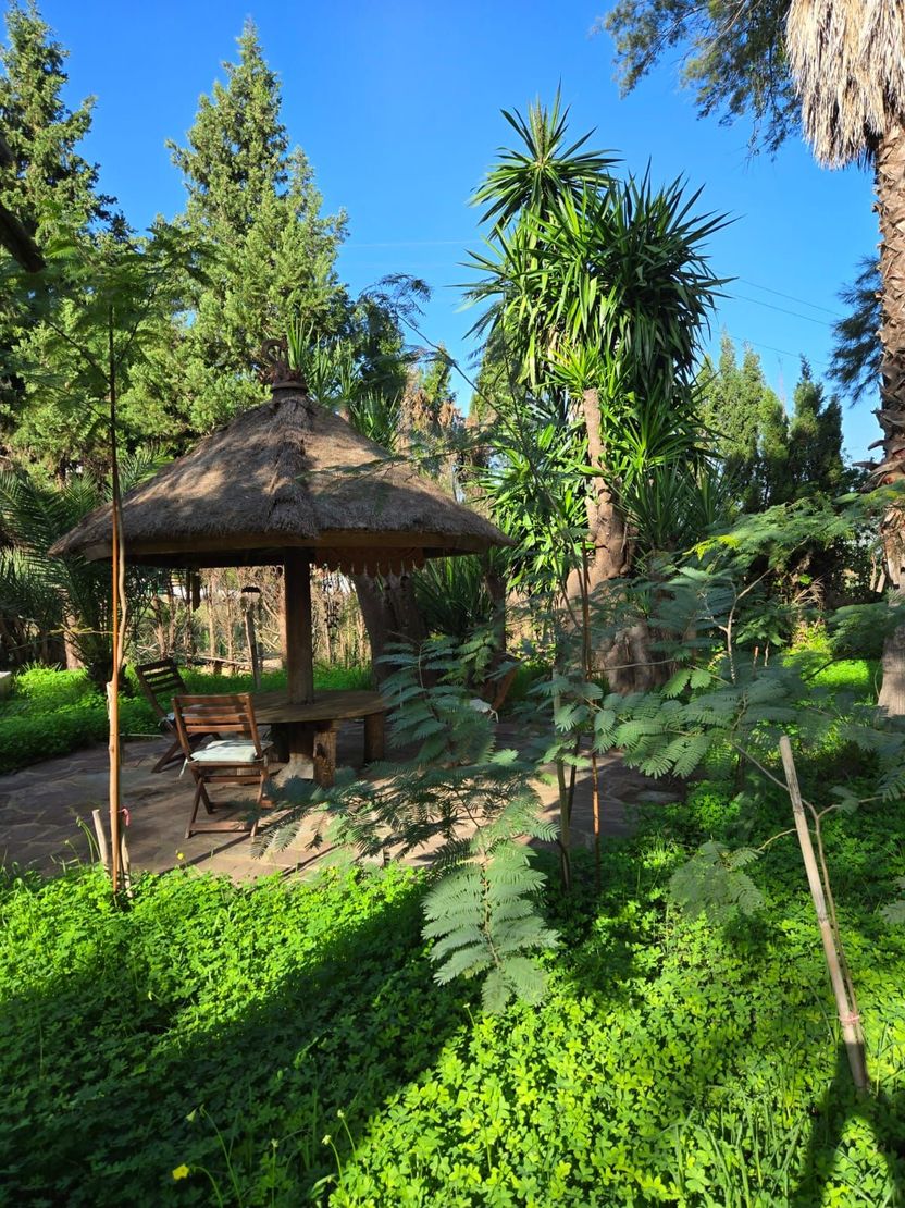 Gazebo in the middle of a lush garden