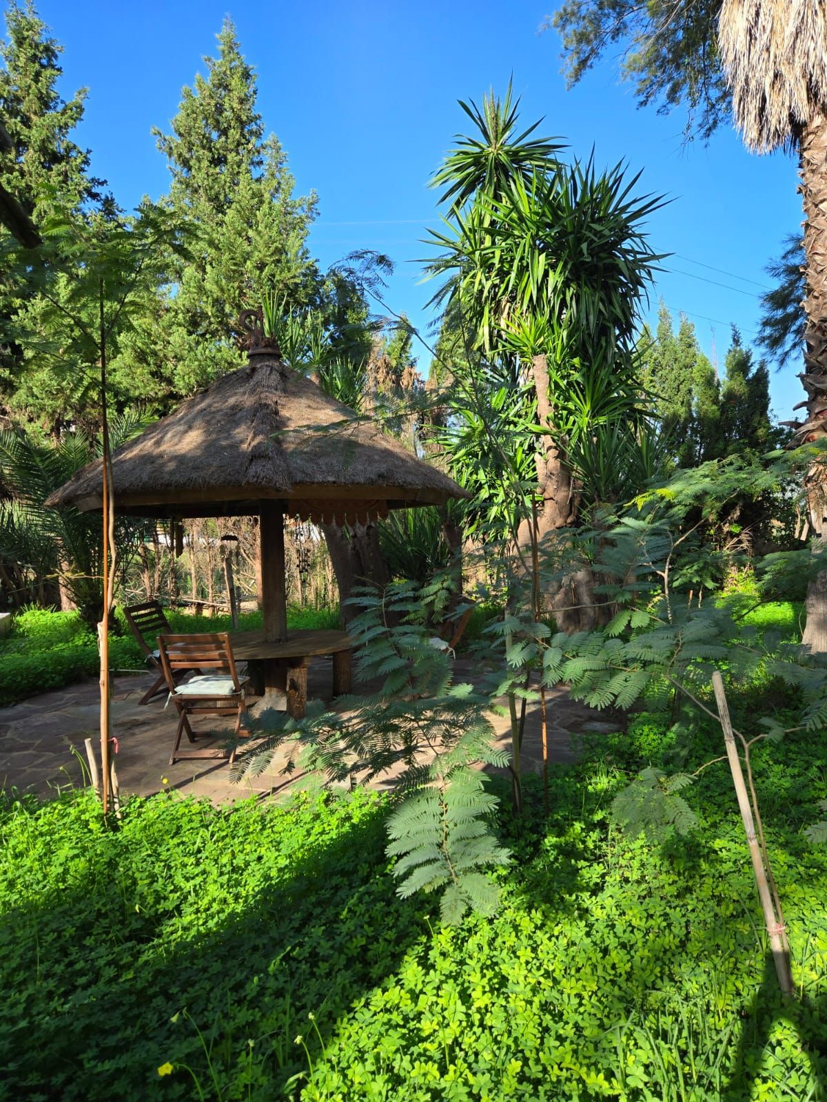 A gazebo in the garden