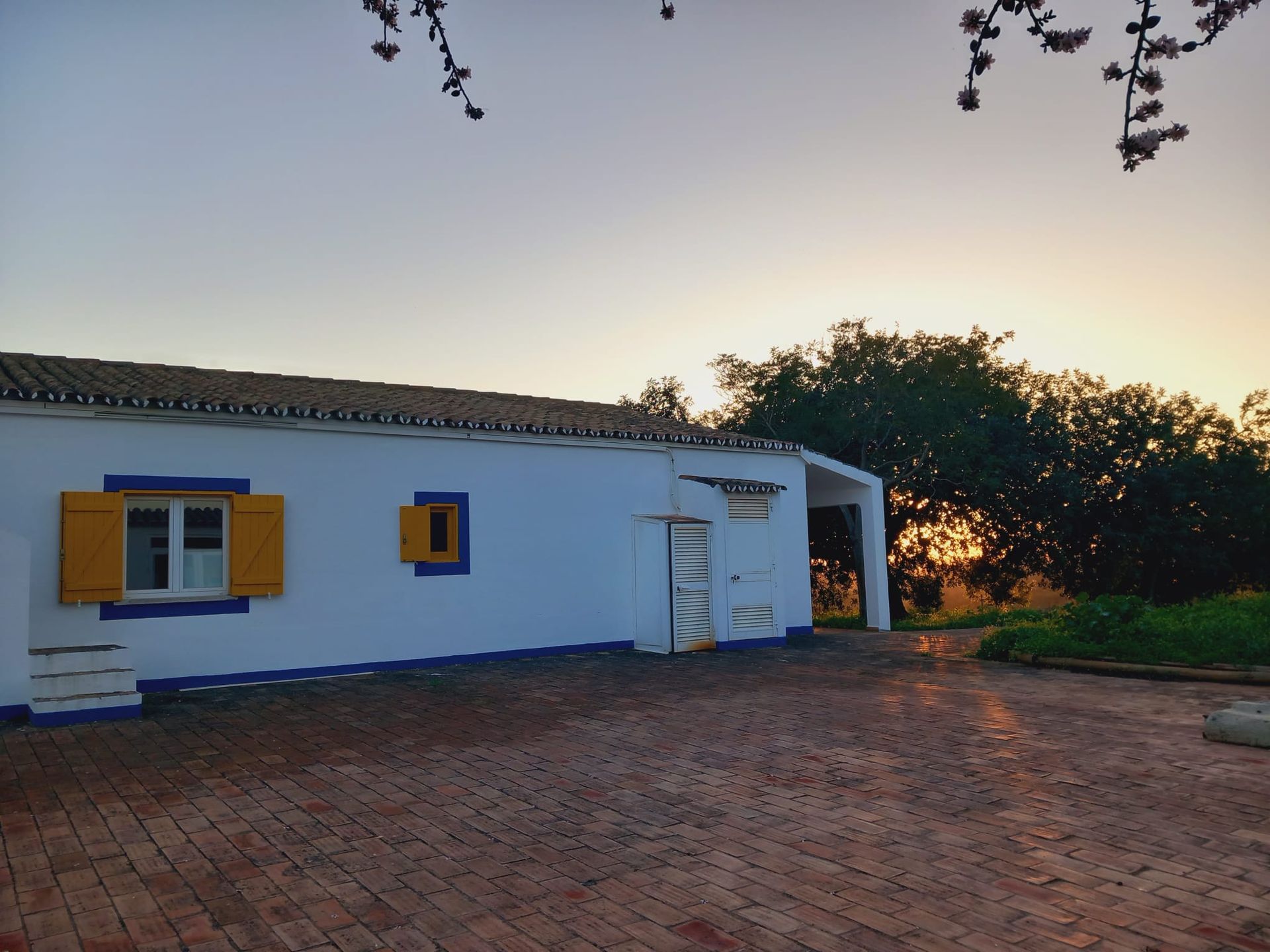 A white house with blue trim and yellow shutters