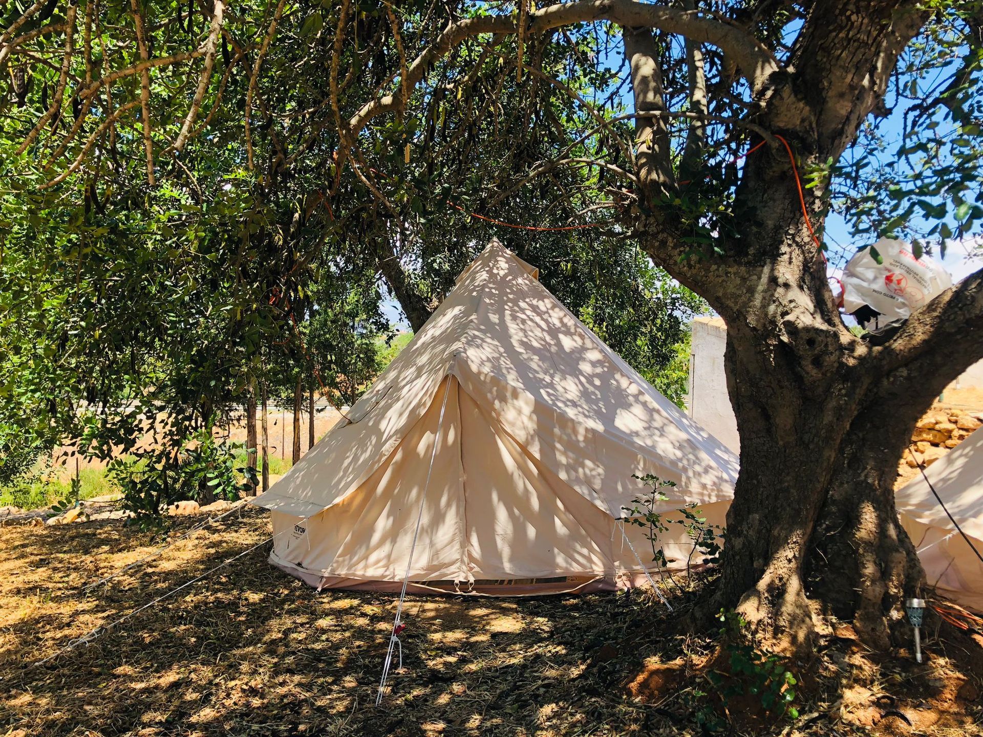 A tent is sitting under a tree in the shade.