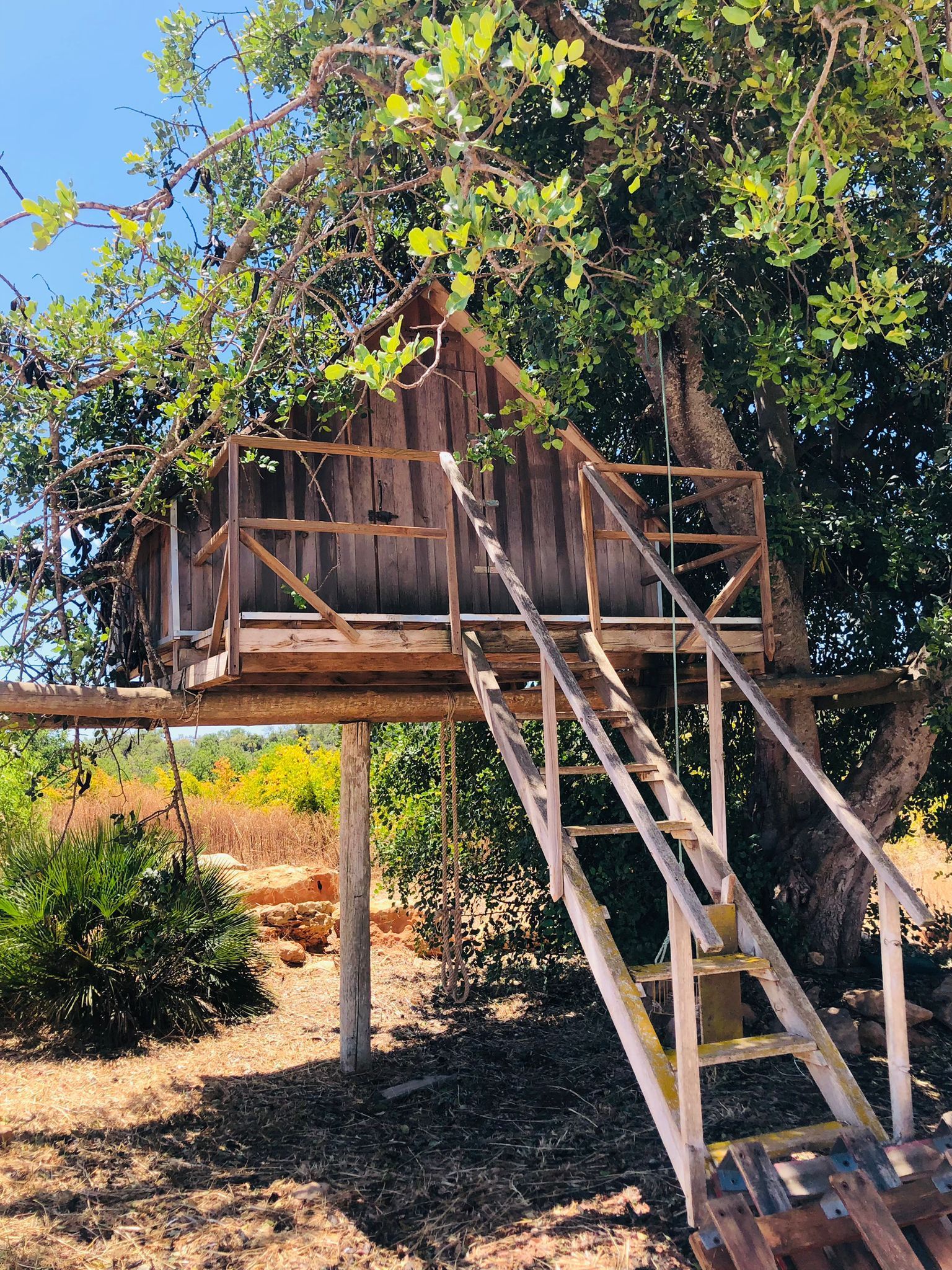 A tree house with stairs leading up to it is sitting under a tree.