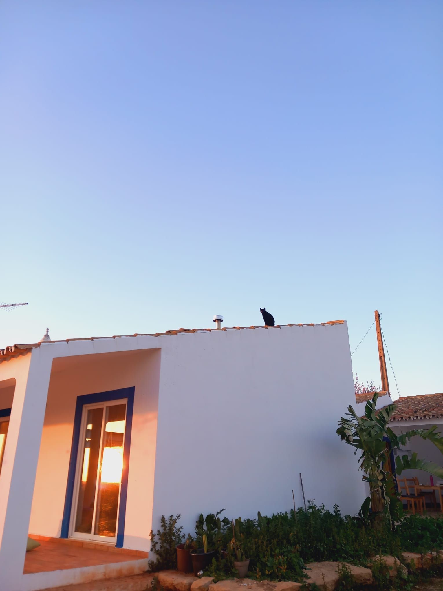 A bird is perched on the roof of a white house