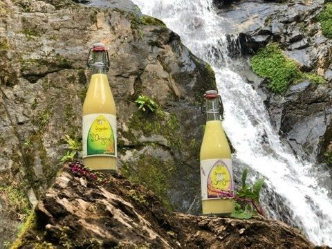 produit fée d'or sous une cascade